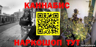 стаф Гусь-Хрустальный