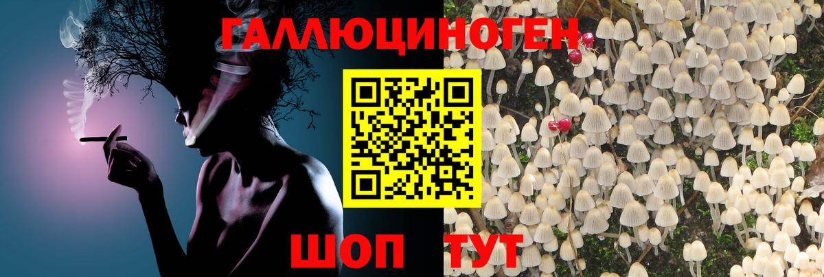 Галлюциногенные грибы мицелий  Псилоцибиновые грибы GOLDEN TEACHER  Киреевск  Вход с VPN 